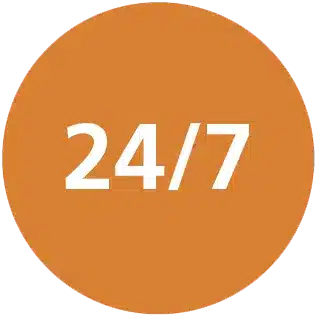 22050058_24-7.png.webp
